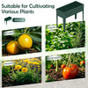 Elevated metal gardening box in green, perfect for growing fruits, vegetables, herbs, and flowers with excellent.