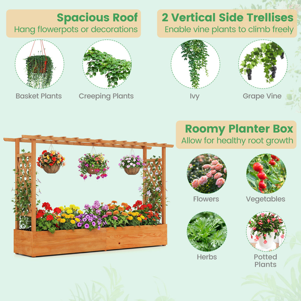 Raised garden bed planter box with spacious roof and trellis, crafted from durable pine wood, ideal for hanging plants.
