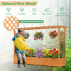 Raised garden bed planter box made of natural pine wood with lattice trellis, perfect for growing climbing plants.