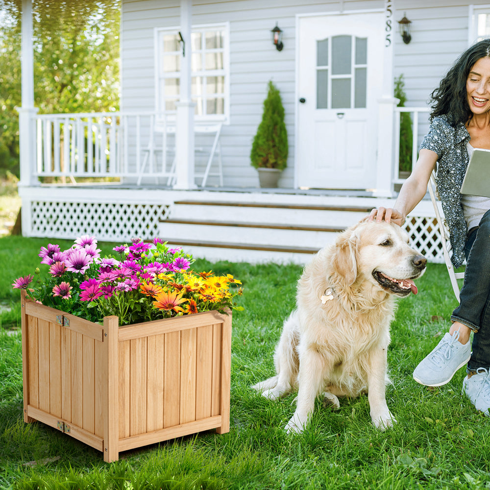 Folding square fir wood raised garden bed with colorful flowers, perfect for patios and gardens, featuring a removable.