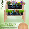 2-tier raised garden bed made of natural fir wood with trellis, featuring drainage holes for healthy plant growth.
