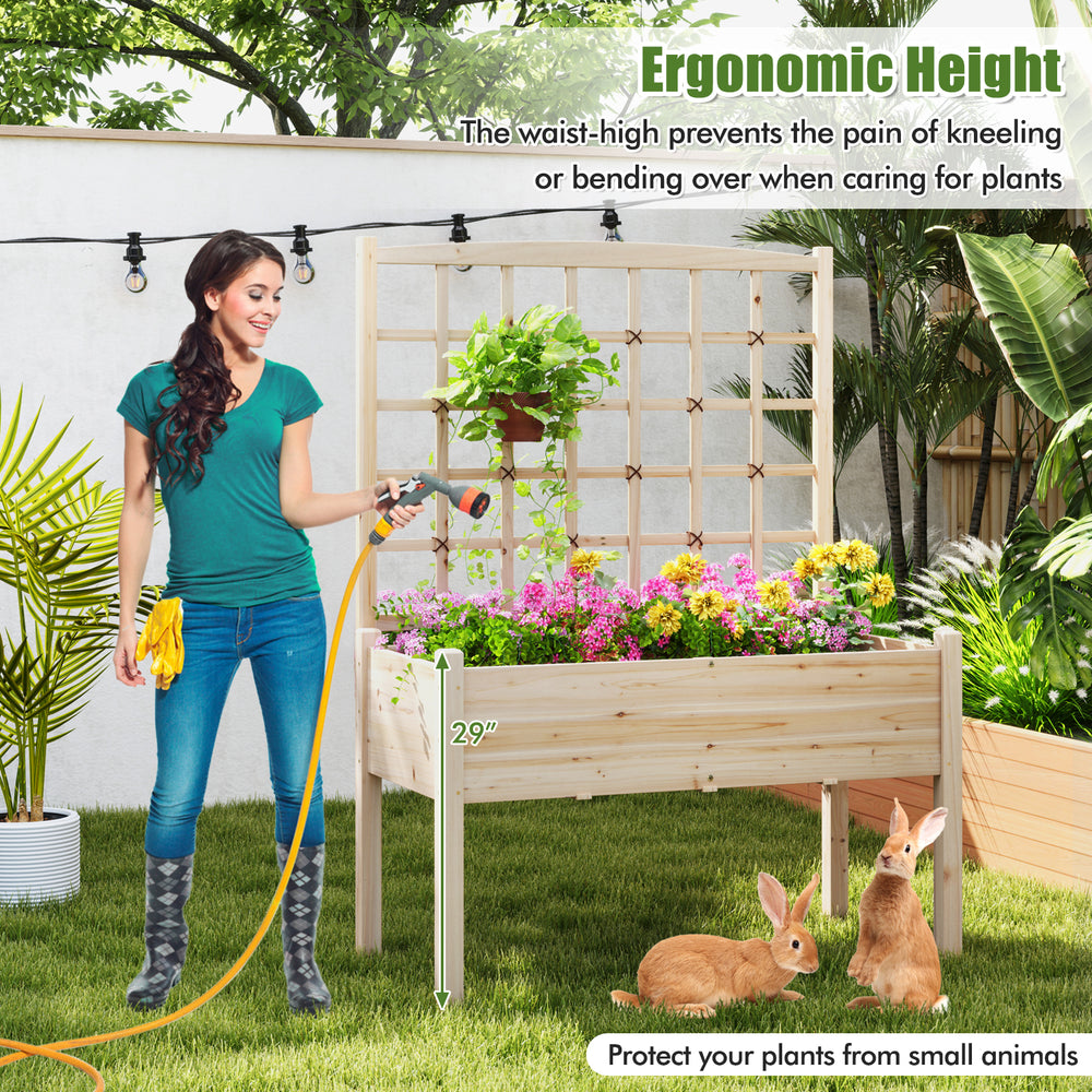 Raised garden bed with lattice trellis, made of fir wood, ideal for flowers and vegetables, elevated design protects.