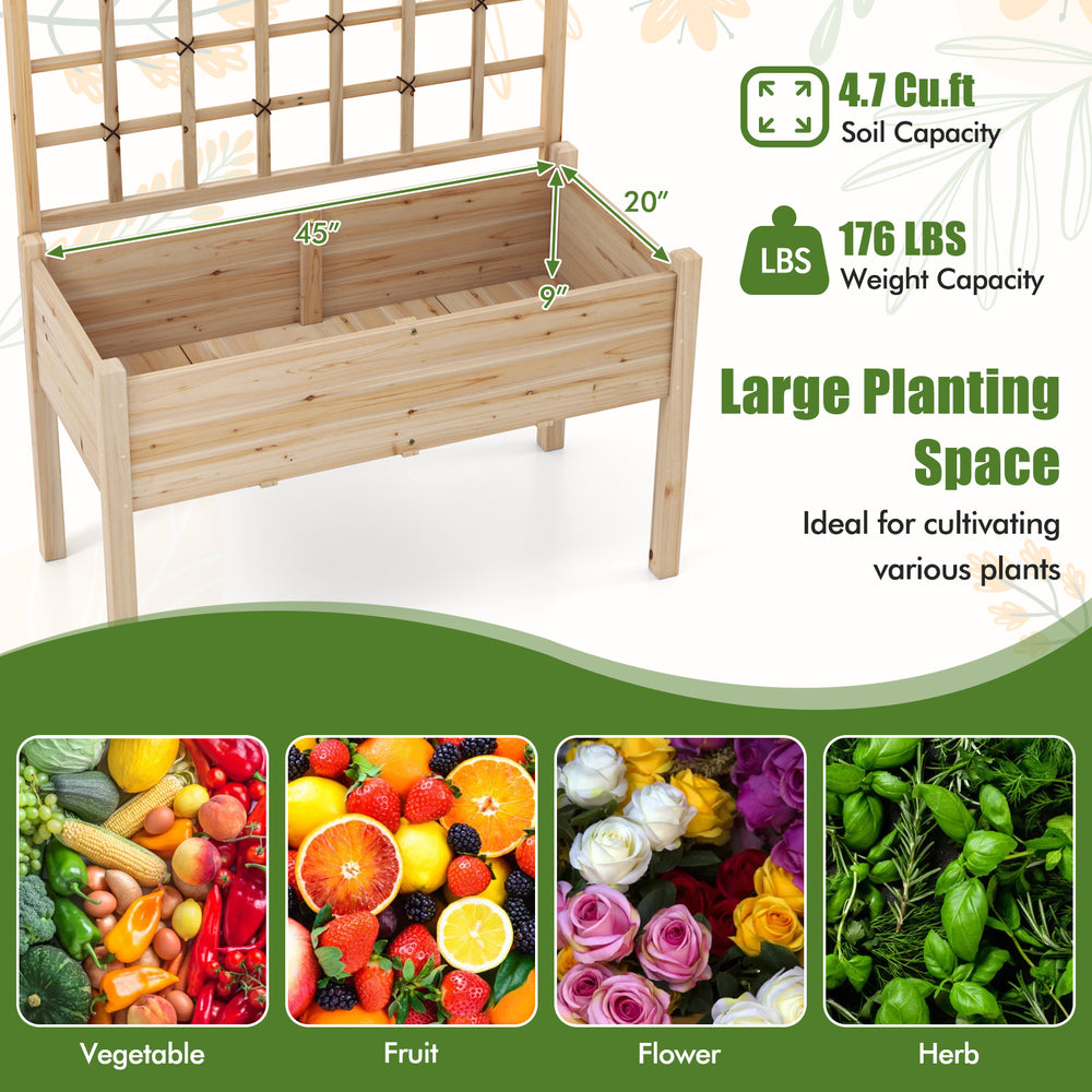 Raised garden bed with lattice trellis, made of fir wood, ideal for cultivating flowers and vegetables, features.