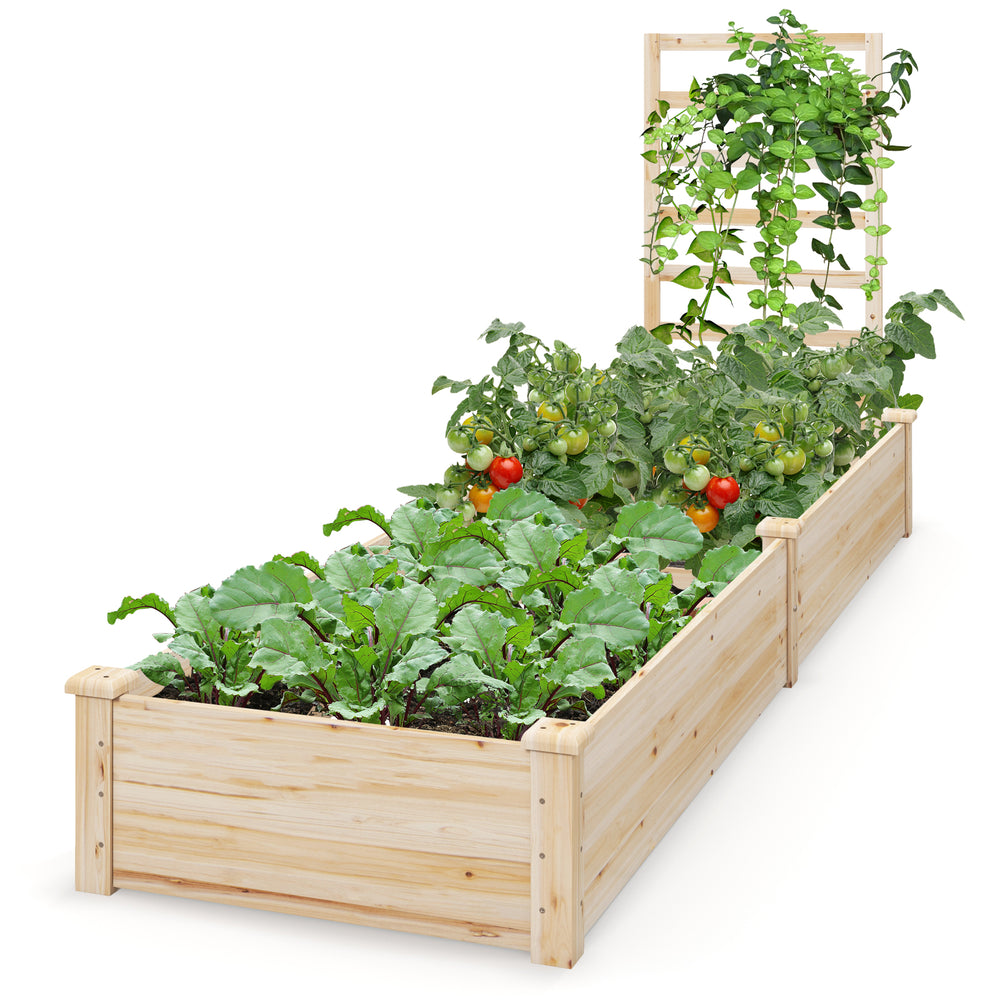 Raised garden bed with trellis made of natural fir wood, featuring two compartments for diverse plant growth.