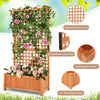 Raised garden bed with trellis, crafted from natural fir wood, featuring diamond lattice and sturdy metal connections.