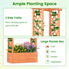 Raised garden bed with side trellis, crafted from fir wood, ideal for growing climbing plants and flowers.