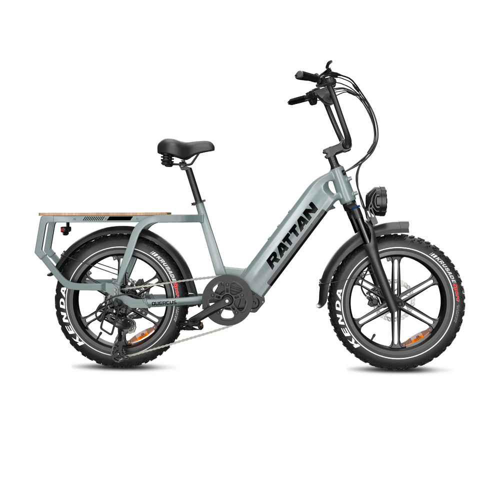 Rattan Quercus Electric Mountain Bike | 20x4