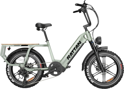 Rattan Quercus RCG-03 Electric Bicycle 30 MPH 80 Mile Range 750W 48V 20Ah New