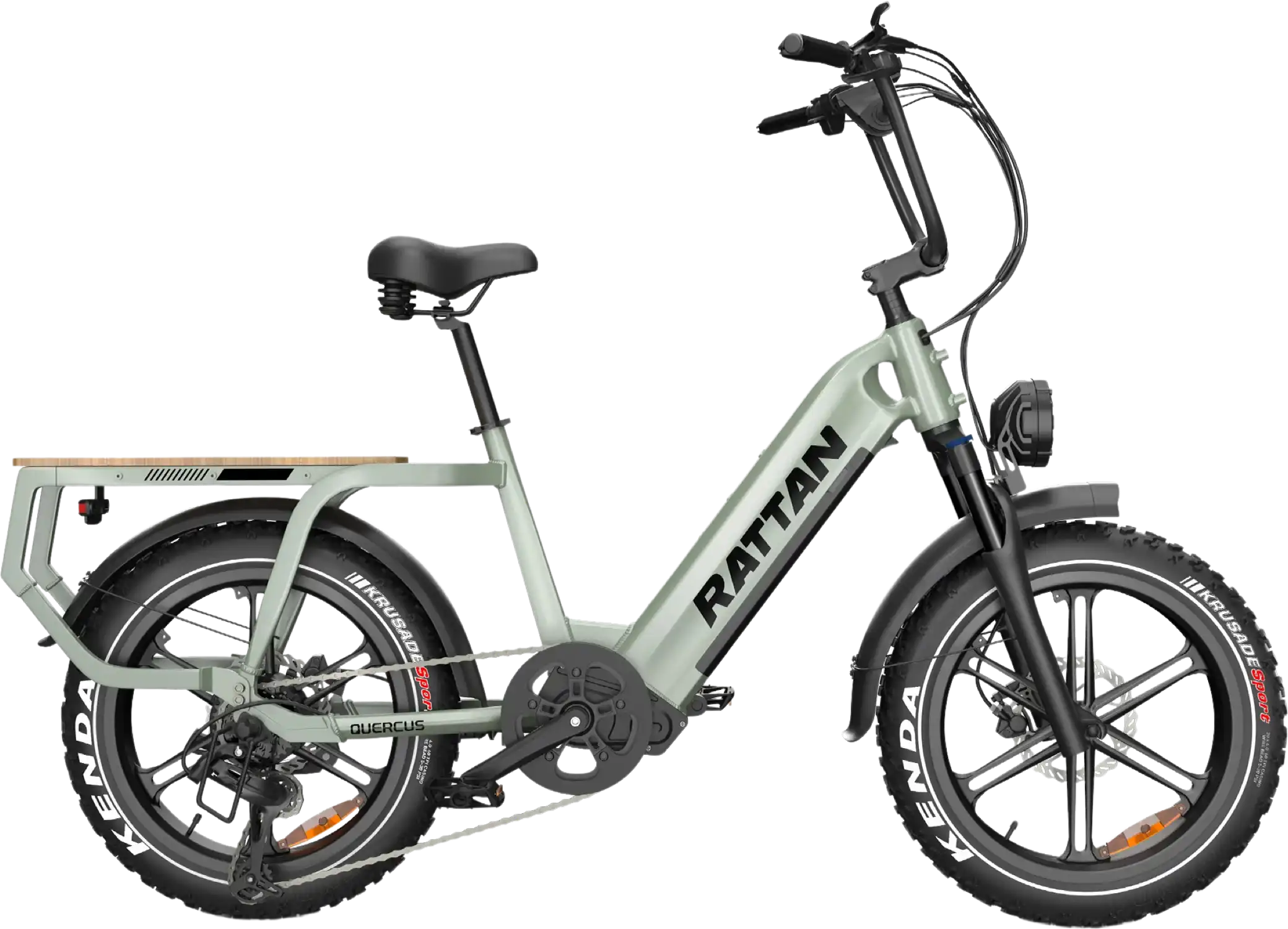Rattan Quercus RCG-03 Electric Bicycle 30 MPH 80 Mile Range 750W 48V 20Ah New
