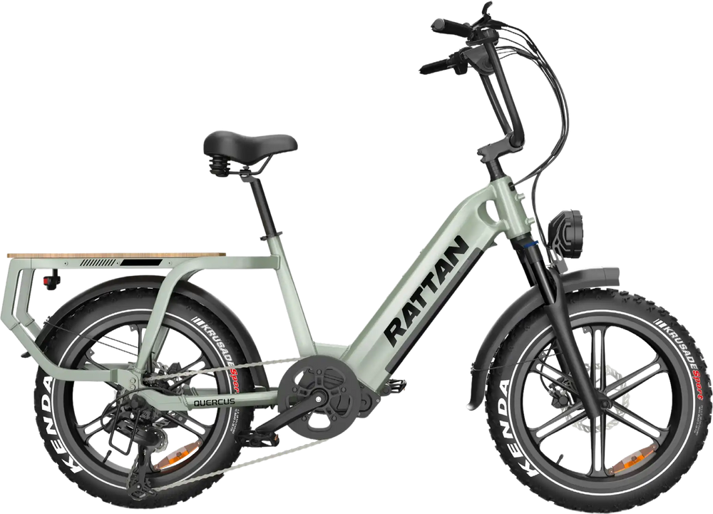 30 mph electric bicycle Rattan Quercus RCG-03 Electric Bicycle 30 MPH 80 Mile Range 750W 48V 2 – FactoryPure