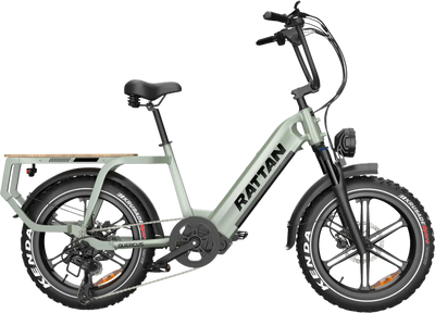 Rattan Quercus RCG-03 Electric Bicycle 30 MPH 80 Mile Range 750W 48V 20Ah New