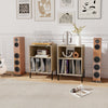 Record player stand in natural finish with storage shelves, accommodating 150 vinyl records and charging ports for.