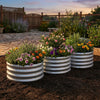 Round galvanized raised garden bed with colorful flowers, featuring durable steel panels and open-ended base for.