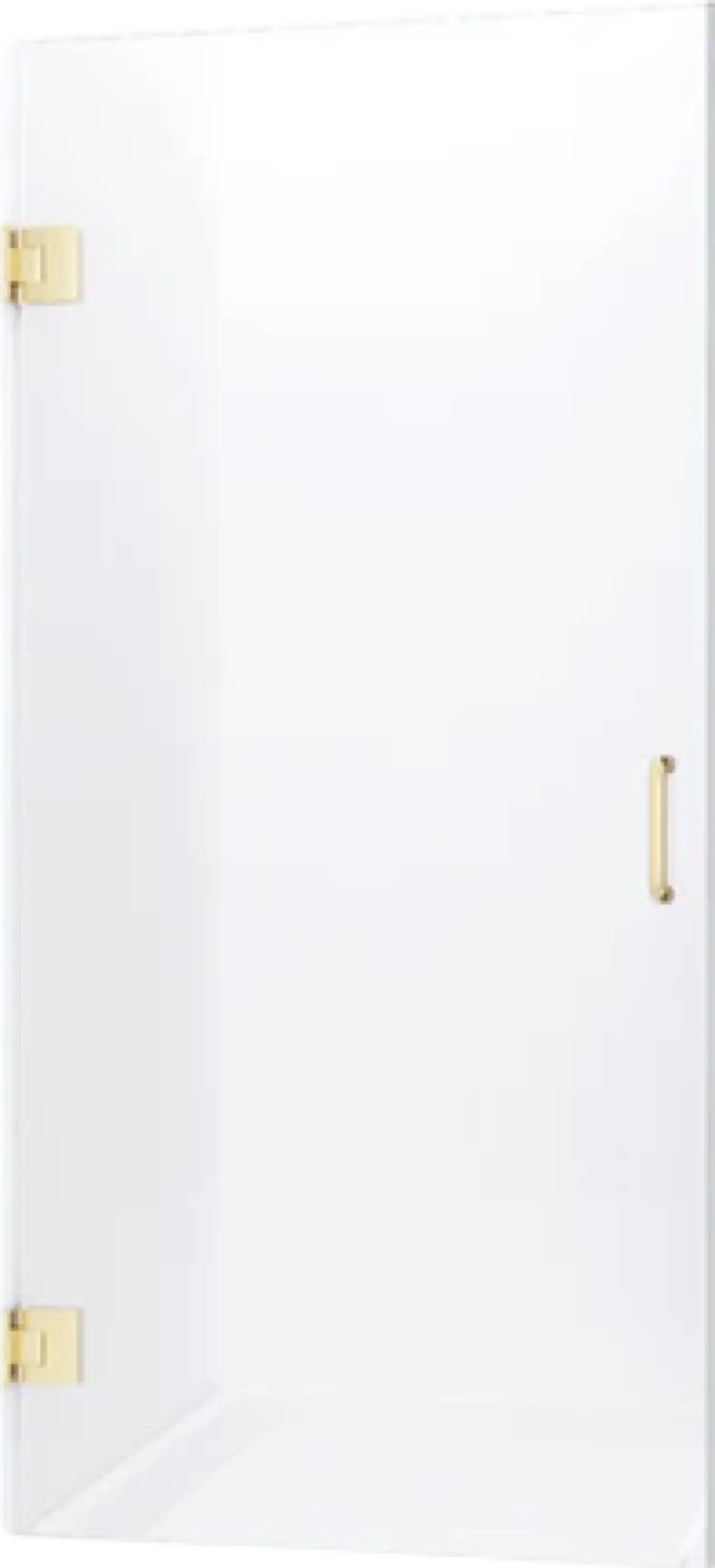 Anzzi SD-AZ09-02BG Fellow Shower Door 30