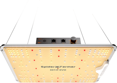 Spider Farmer Full Grow Kit SF1000 Full Spectrum Grow Spider Farmer Full Grow Kit SF1000 Full Spectrum Grow