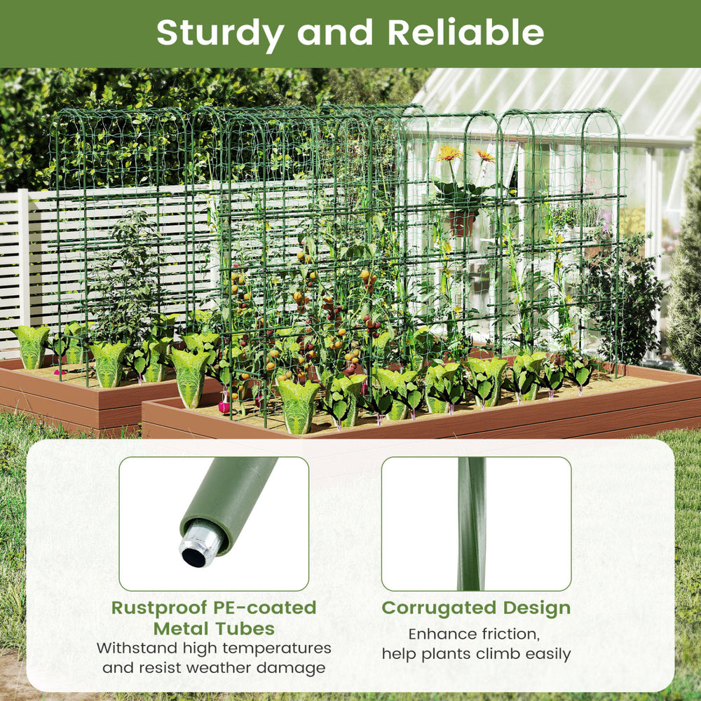 Self-watering raised garden bed with climbing trellis, featuring PE-coated metal tubes and durable design for easy.
