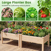 Large wooden raised garden bed made of fir wood, ideal for growing flowers, herbs, vegetables, and fruits.