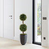 Artificial double topiary ball trees in a cement-filled pot, featuring vivid leaves and a sturdy birch trunk for home.
