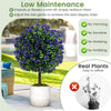 Set of 2 artificial purple rose topiary ball trees in a cement-filled pot, perfect for low-maintenance indoor or.