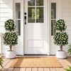 Set of 2 Artificial Topiary Trees Realistic Evergreen Plant with 2 Topiary Balls-White - Gallery View 1 of 10