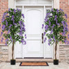 Set of 2 Fake Ficus Plant 6 FT Artificial Wisteria Tree with Natural Trunks and Purple Lifelike Flowers - Gallery View 1 of 10