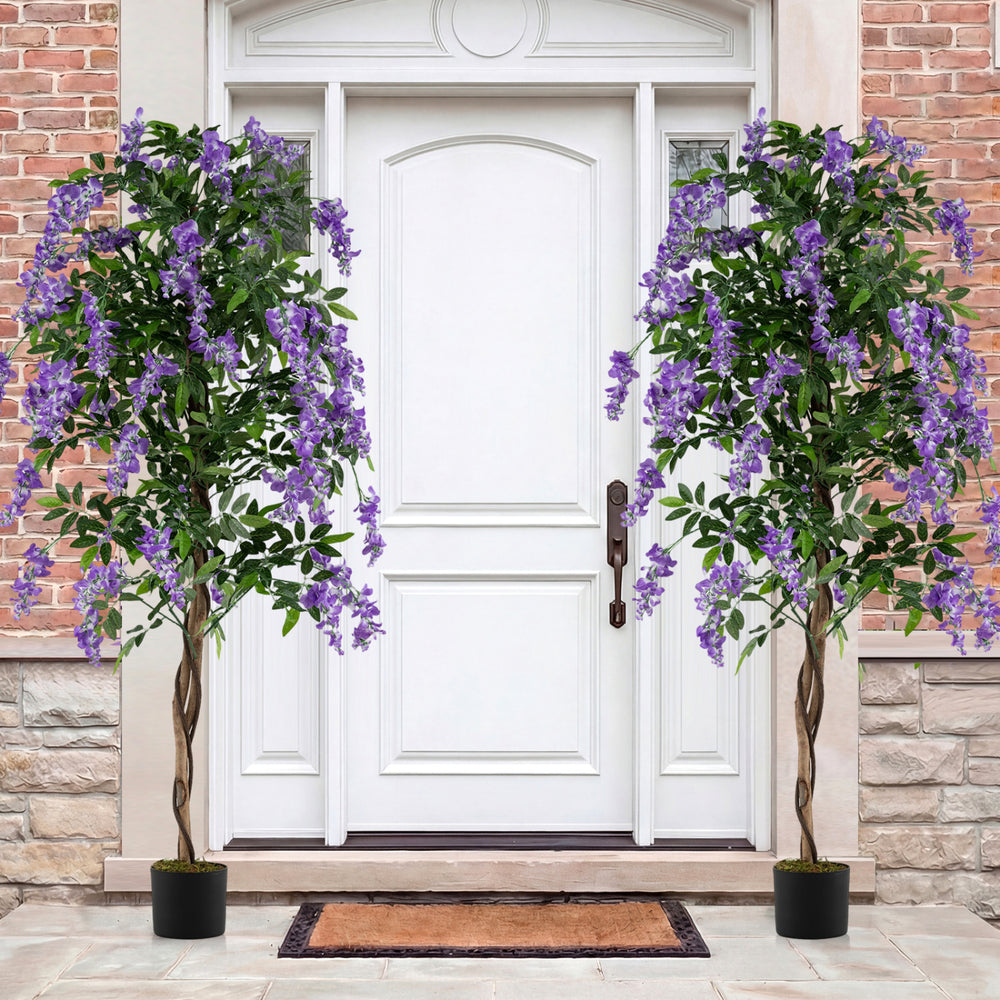 Set of 2 Fake Ficus Plant 6 FT Artificial Wisteria Tree with Natural Trunks and Purple Lifelike Flowers - Gallery View 1 of 10