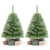 Two 3 FT mini tabletop Christmas trees with 113 green PVC branch tips stand beside wrapped gifts.
