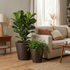 Tall and small brown tapered plastic rattan planters with drainage holes, ideal for indoor and outdoor use.