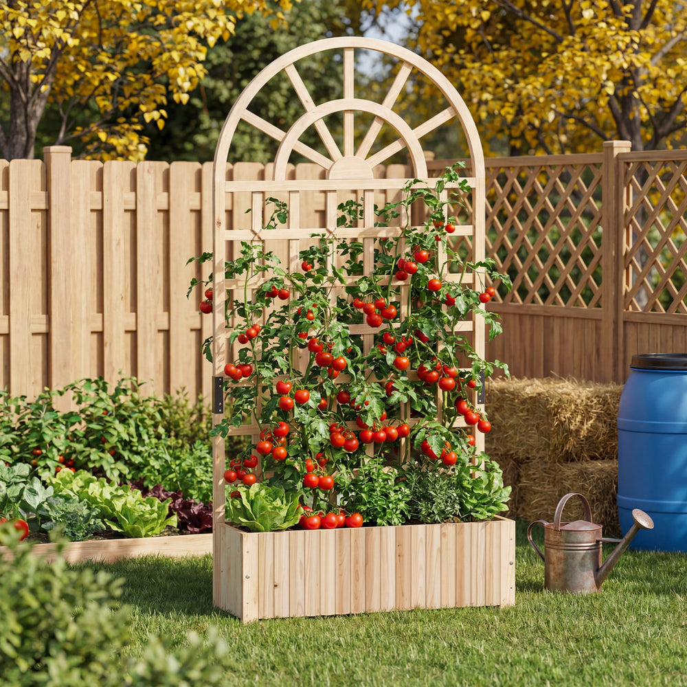 Wooden raised garden bed with trellis, featuring vibrant tomatoes and a stylish rounded roof for outdoor planting.