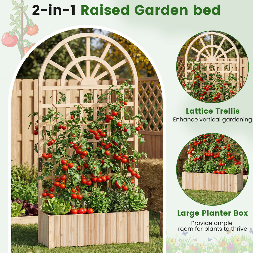Wooden raised garden bed with trellis, featuring a spacious planter box for climbing plants and a stylish rounded roof.