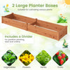 Two large wooden planter boxes made of solid fir wood, ideal for cultivating vegetables, fruits, and flowers in your backyard.