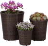 Set of three brown plastic planters in varying sizes with drainage holes, perfect for indoor and outdoor gardening.