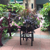 Paragon Geometric Metal Planter 25" x 25" Steel with Stand New