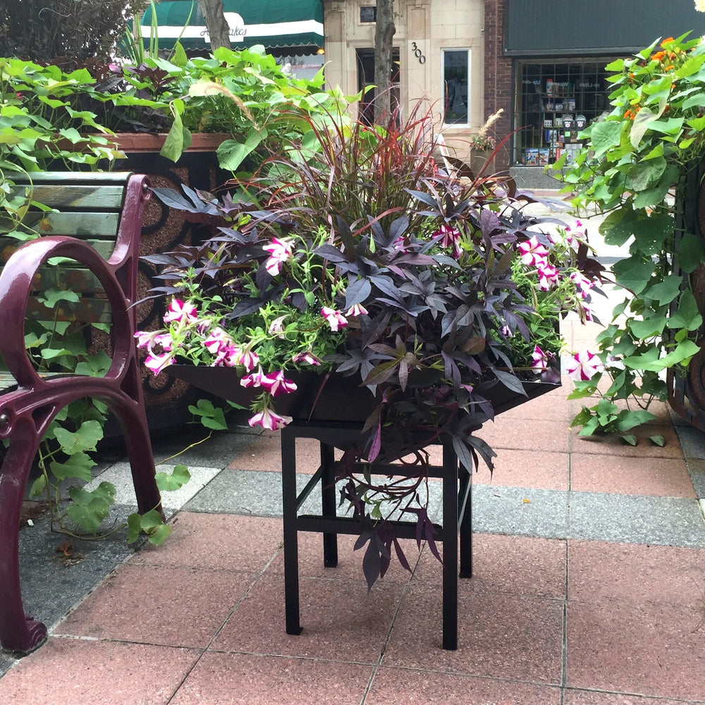 Paragon Geometric Metal Planter 25" x 25" Steel with Stand New