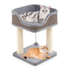 Comfy gray cat tree with plush perch and sisal scratching posts, perfect for indoor kittens to lounge and play.