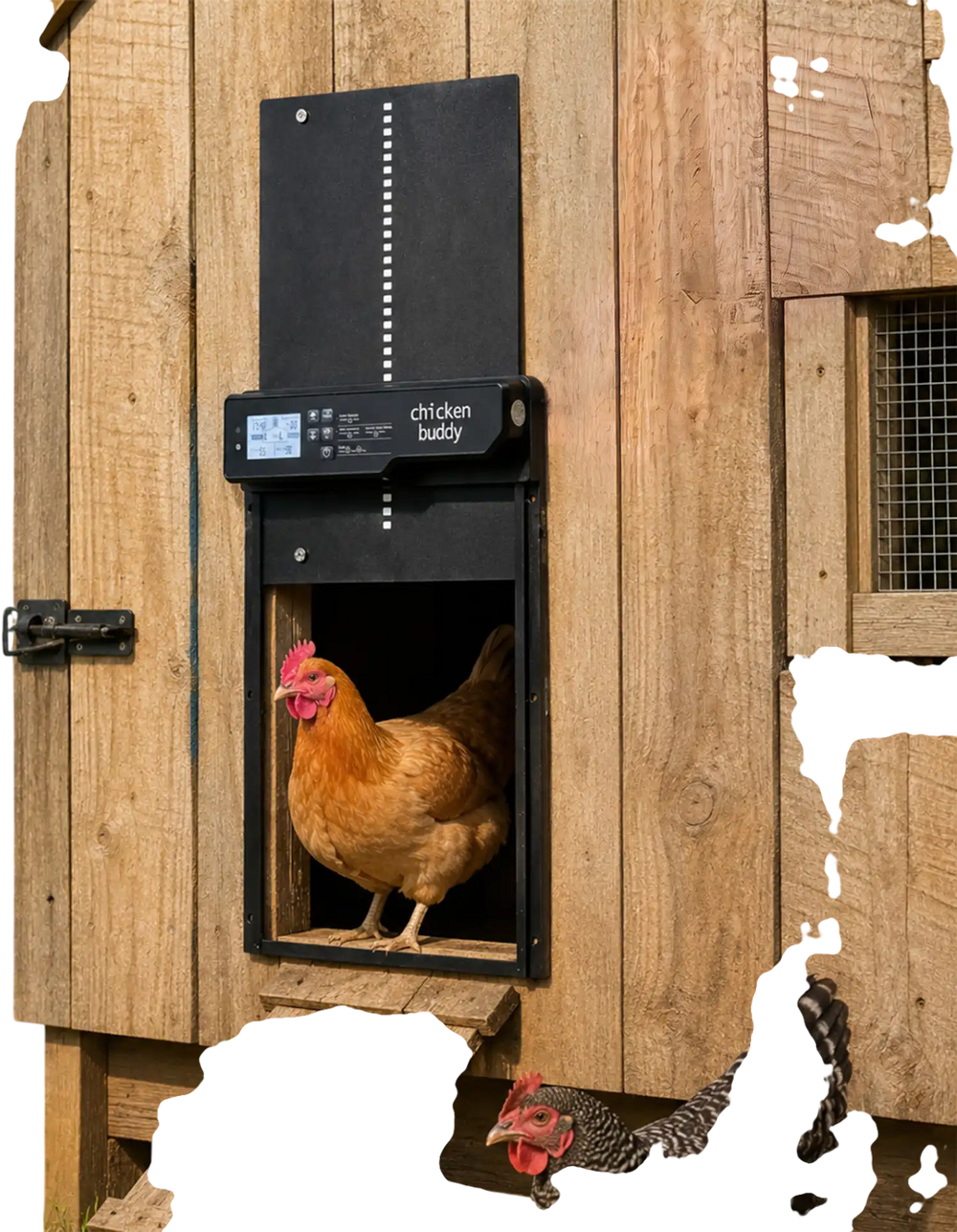 Solar powered automatic chicken coop door with anti-pinch function and clear display for easy operation and reliable performance.