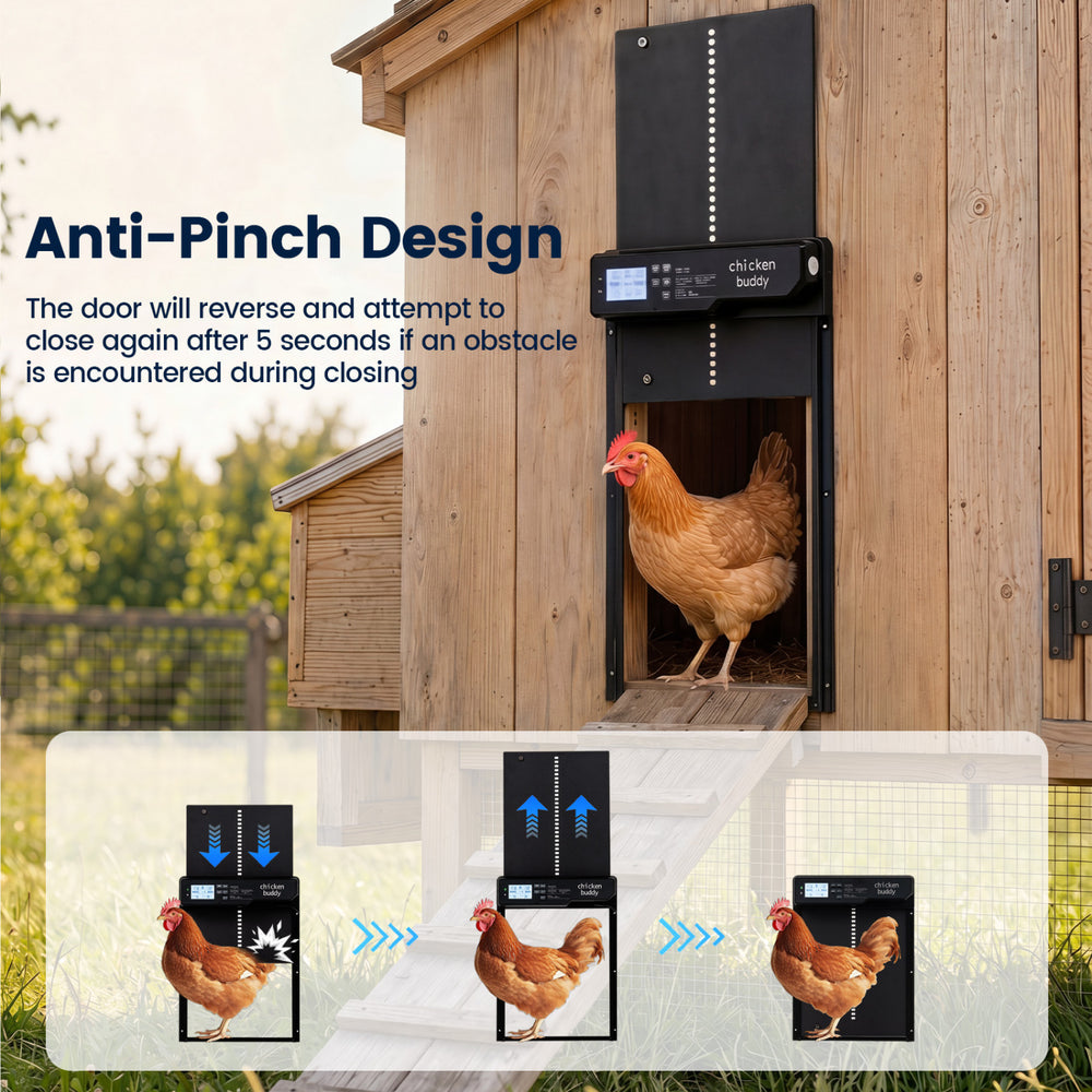 Solar powered automatic chicken coop door with anti-pinch design and clear display for easy operation and safety.