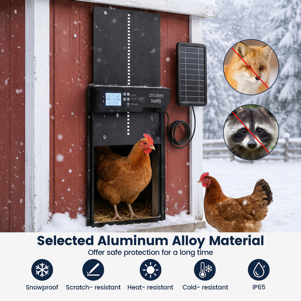 Solar powered automatic chicken coop door made of aluminum alloy, featuring a clear display and anti-pinch function for safety.