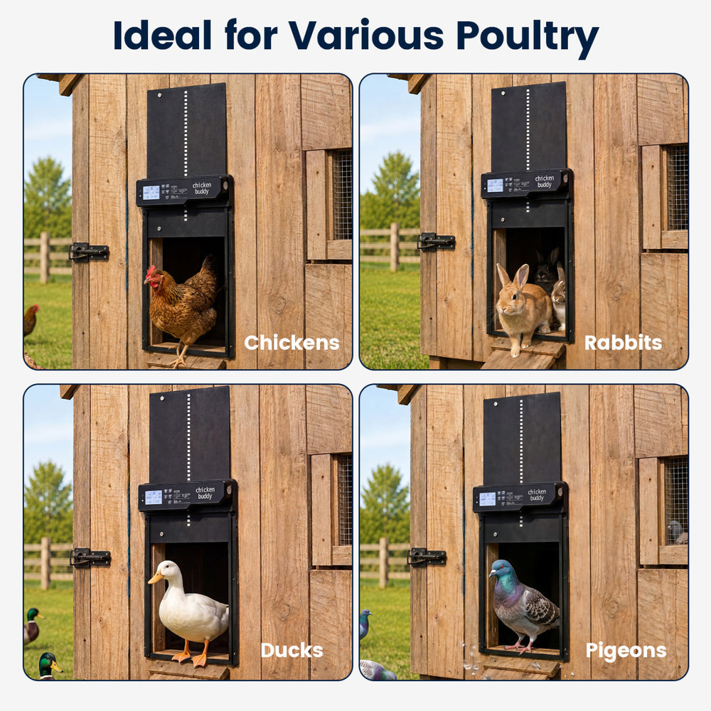 Solar powered automatic chicken coop door with anti-pinch function, ideal for chickens, ducks, and rabbits.
