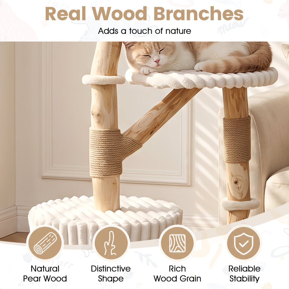 Solid wood cat tree with real pear wood branches, cozy bed, and scratching posts for multi-cat play and relaxation.