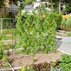 U-shaped tall garden trellis for climbing plants, featuring sturdy PE-coated metal tubes and secure anchoring for.