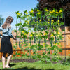 U-shaped tall garden trellis with climbing plants, featuring sturdy PE-coated metal tubes for optimal growth and.