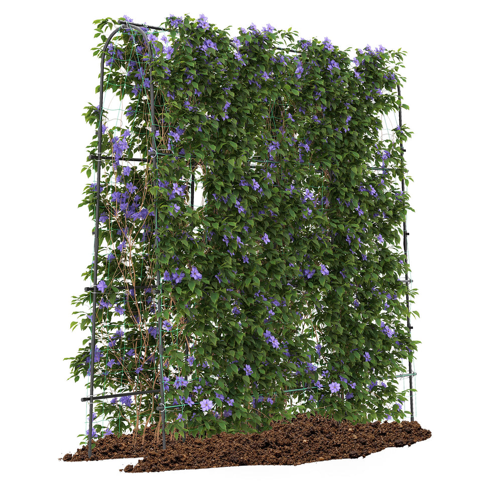 U-shaped tall garden arched trellis made of PE-coated metal for climbing plants, ensuring optimal light exposure and.