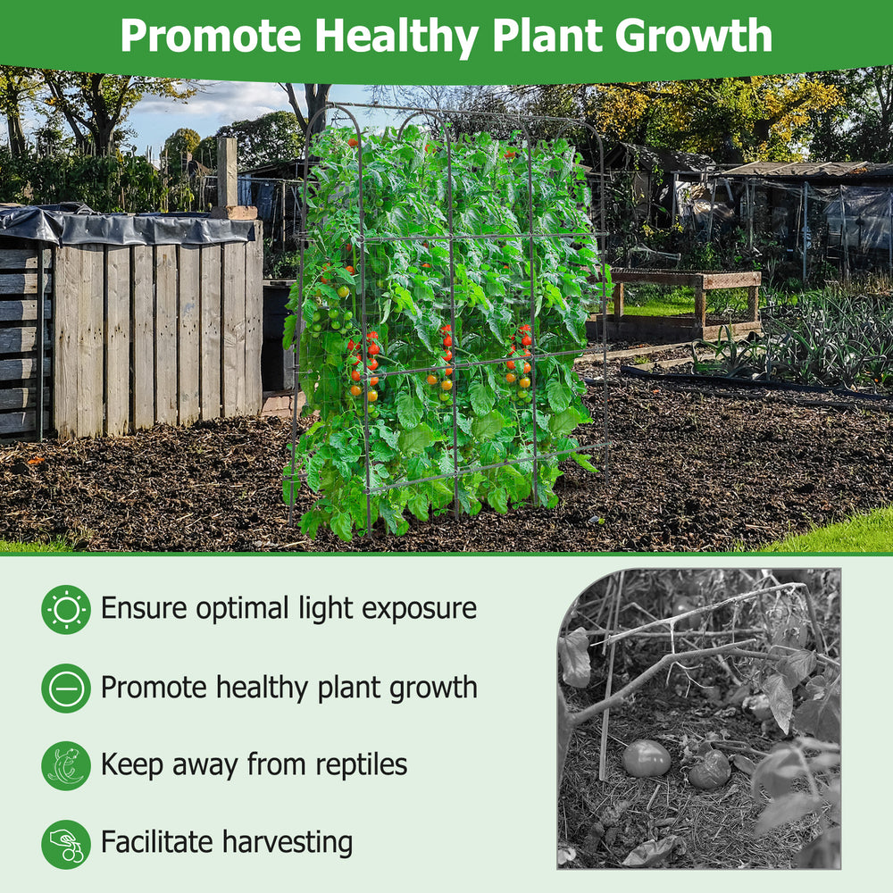 U-shaped tall garden trellis for climbing plants, made of rustproof metal, ensures optimal light exposure and.