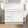 Vanity Art Bathroom Vanity Cabinet 36" with 2 Left Drawers Single Door VA4036-2L New