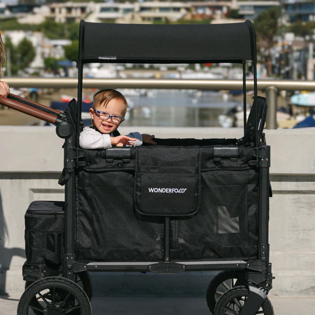 WonderFold Baby W2 Luxe Pro Stroller Wagon Multi-Function Folding Double Wagon with Removable Canopy and Seats New