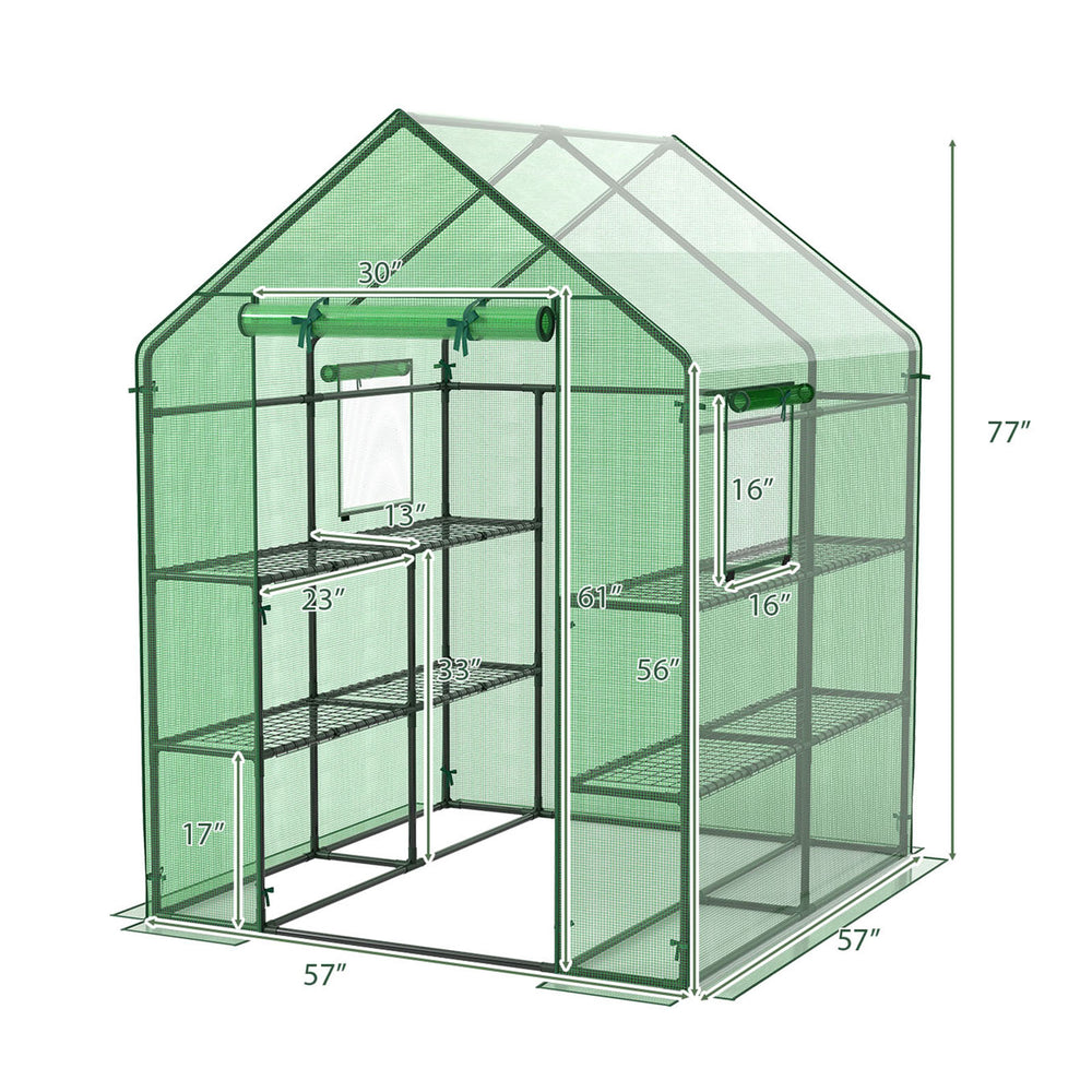 Walk-in greenhouse dimensions of 56 x 56 x 77 inches, showcasing internal shelves and roll-up door for easy access.