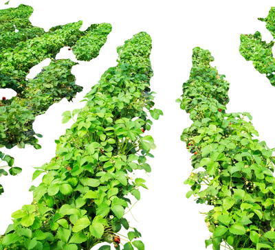 Costway Weed Barrier Landscape Fabric 4' x 250' 16972483 New