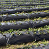 Weed barrier landscape fabric with plants growing through, featuring clear guide lines for easy installation and.