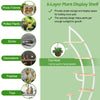 6-tier white metal plant display shelf with top hook, ideal for showcasing potted plants and decorations in any home.